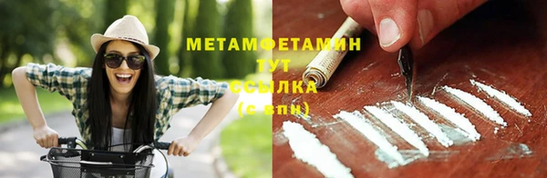 гидра Бородино