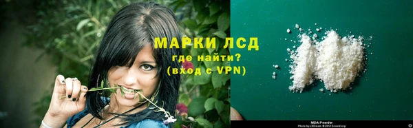 гидра Бородино