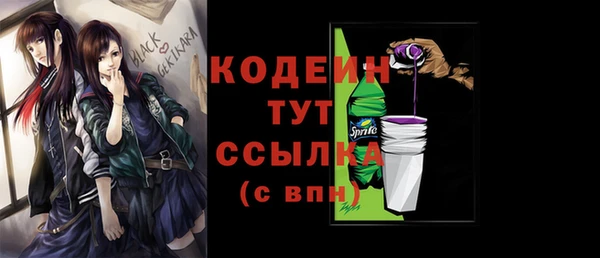 гидра Бородино