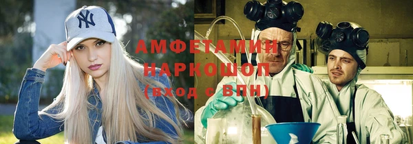 гидра Бородино